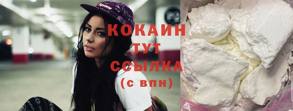 шишки Дмитров