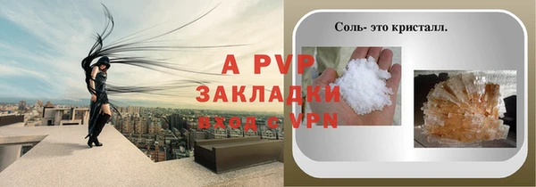 шишки Дмитров