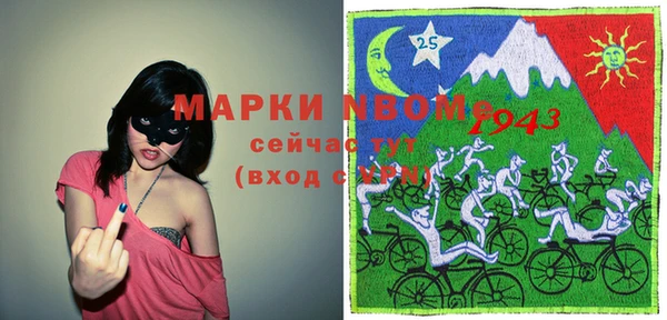 шишки Дмитров