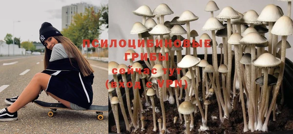 стафф Гусиноозёрск