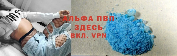 шишки Дмитров