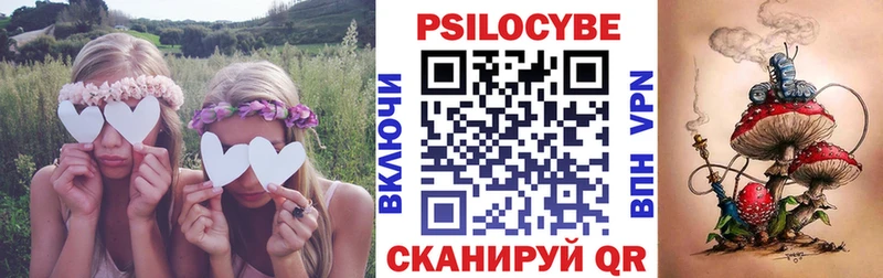 Псилоцибиновые грибы Psilocybine cubensis  хочу   Гурьевск 